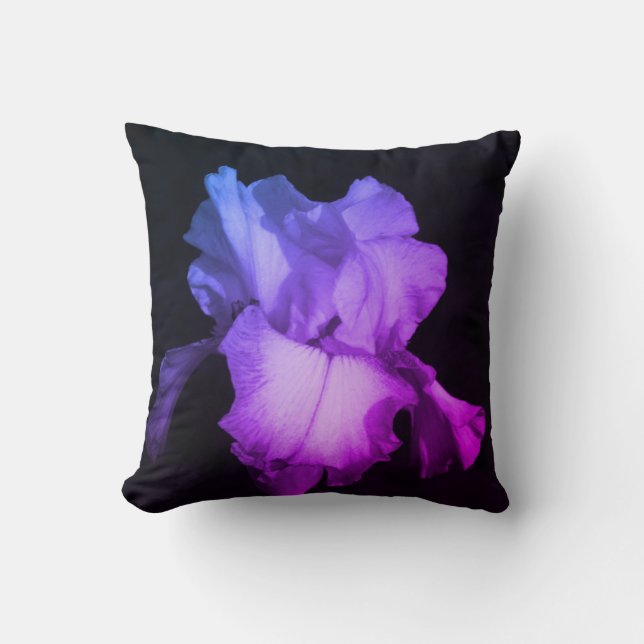 Coussin Phoque de Purple Iris (Recto)