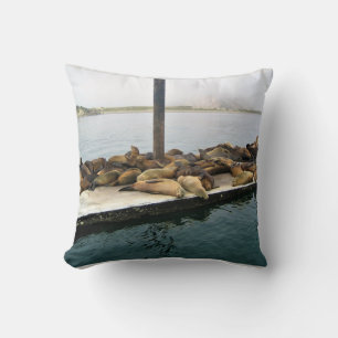 Coussin Phoques du port, Morro Bay, Californie