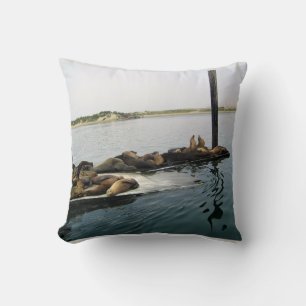 Coussin Phoques du port, Morro Bay, Californie