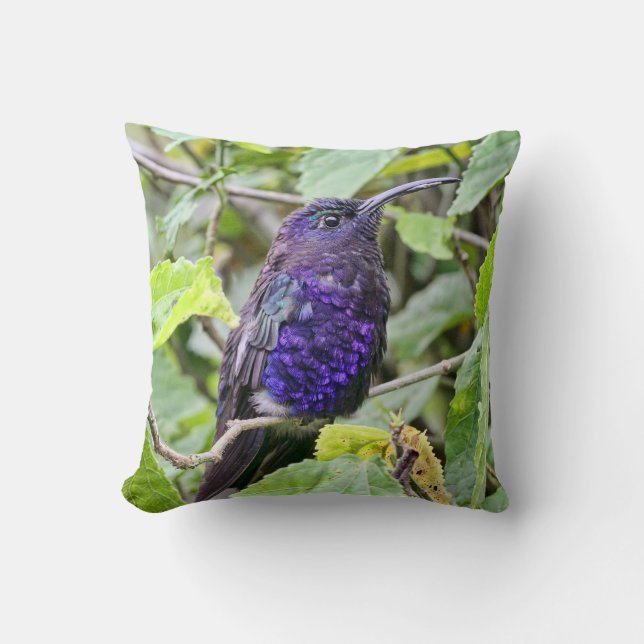 Coussin Photo bleue de colibri (Recto)