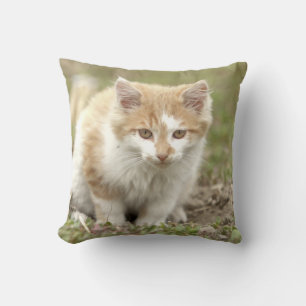 Coussin Photo cat, animaux . jeter l'oreiller