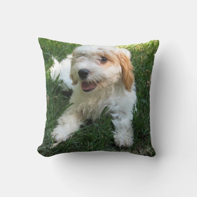 Coussin photo Cavachon customisé, Chien (Recto)