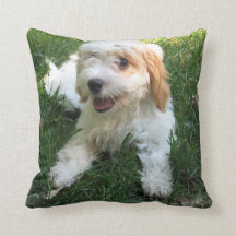 Coussin photo Cavachon customisé, Chien