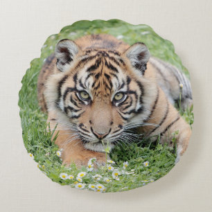 Coussin Photo chat tigre, animaux 01 . coussin ron