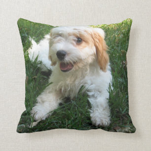 Coussin photo Customisé Cavachon, Chien