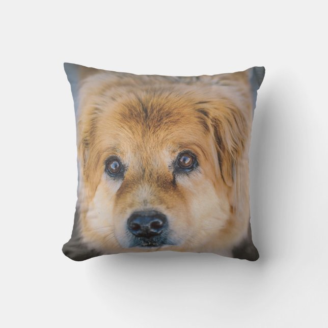 Coussin Photo Cute Dog (Recto)