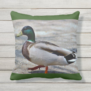 Coussin Photo de canard de Mallard