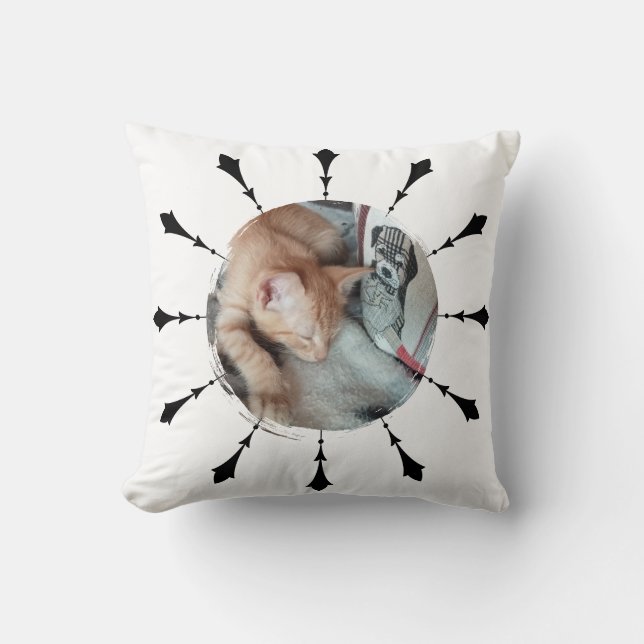 Coussin Photo de chat, humour, interchangeable, Drôle  (Recto)