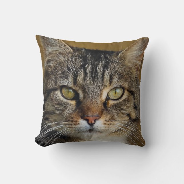 Coussin Photo de chat tigre gris avec arrière - plan foncé (Recto)