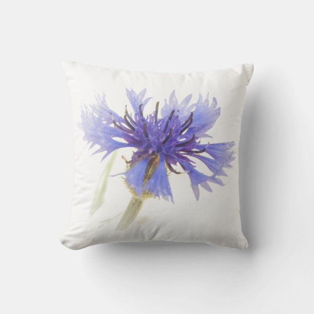 Coussin Photo de Cornflower bleu - (Recto)