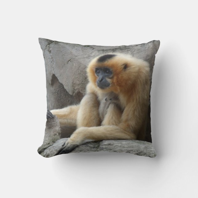 Coussin Photo de Gibbon orange et noir se relaxant sur Cli (Recto)