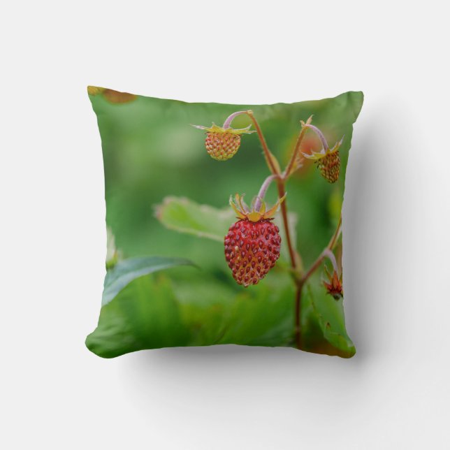 Coussin Photo de jardin de fraises sauvages fraîches verte (Recto)