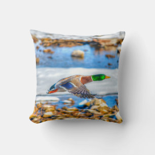 Coussin Photo de la faune de Mallard Duck pour les amateur