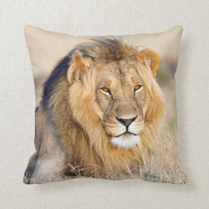 Coussin Photo de la faune du lion safari animal