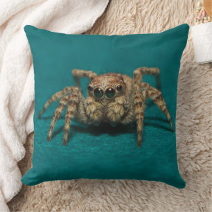 Coussin Photo de l'araignée de la nature