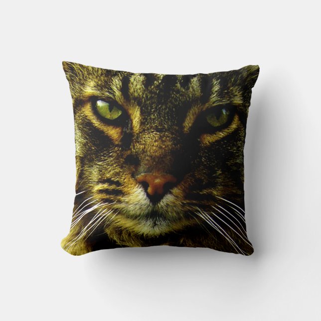Coussin Photo de l'hypnitizing Eyes de chat (Recto)
