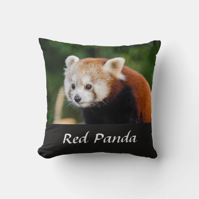 Coussin Photo de panda roux sauvage (Recto)