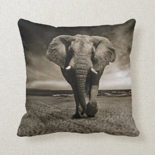 Coussin Photo d'éléphant Bull de la faune