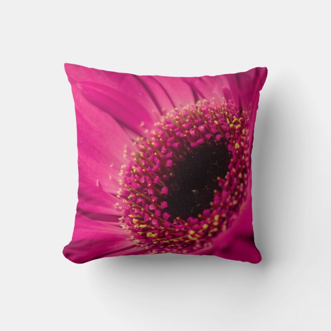 Coussin Photo, macro (Recto)