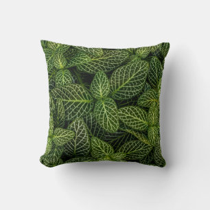 COUSSIN PHOTO MACRO DE PLANTES VERTS
