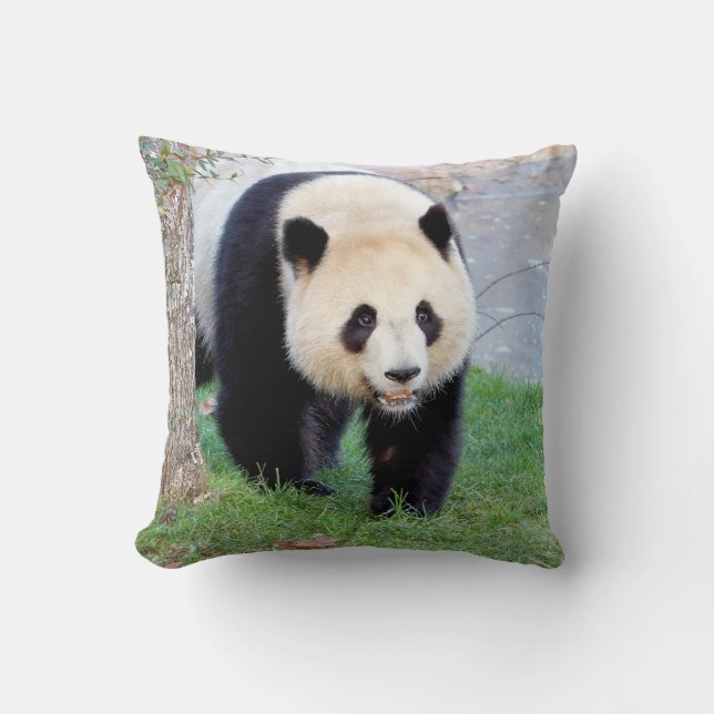 Coussin photo panda géant 5. lancer oreiller (Recto)