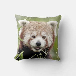 Coussin photo panda rouge.