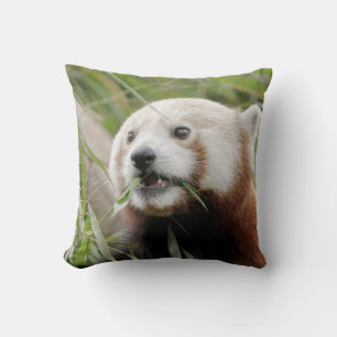 Coussin photo panda rouge.