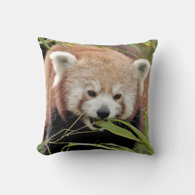 Coussin photo panda rouge. (Recto)