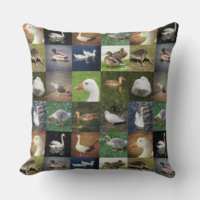 Coussin Photo Patchwork - Oiseaux (Recto)