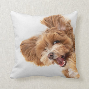 Coussin Photo pour animaux de compagnie personnalisés, Paw