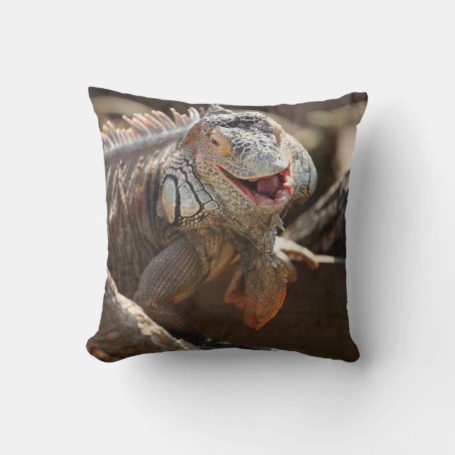 Coussin Photo riante d'iguane (Recto)