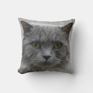 Coussin Photo triste chat gris adulte, race rare, amoureux