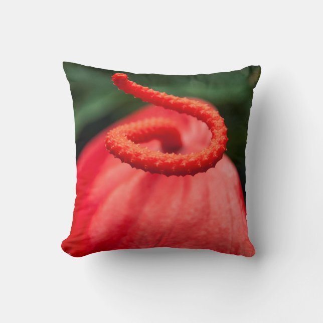 Coussin photo une fleur rouge. (Recto)