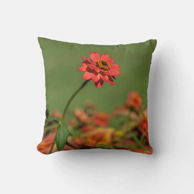 Coussin photo une fleur rouge. (Recto)