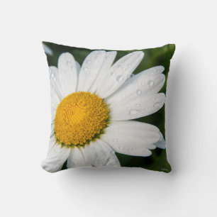 Coussin photo, une margueritte, font vert