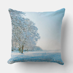 Coussin Photographe - beautiful Winter Park + your ideas