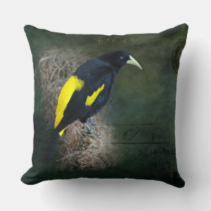 Coussin Photographie d'art fin d'oiseau jaune et noir