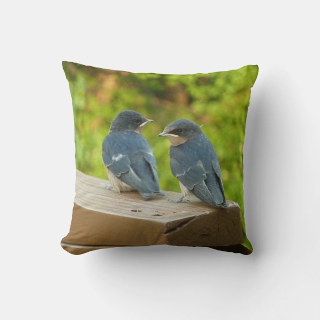 Coussin Photographie de bébé hirondelles de cheminée dans  (Recto)