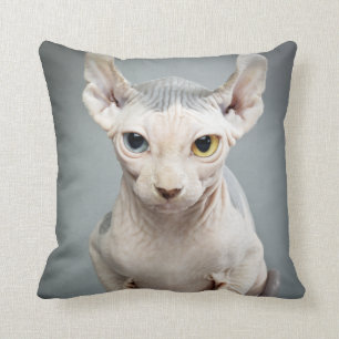 Coussin Photographie de chat de sphinx d'Elf