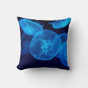 COUSSIN PHOTOGRAPHIE DE CLOSEUP DE SWARM DE JELLYFISH