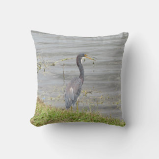 Coussin Photographie de faune d'Aigrette tricolore
