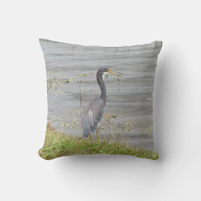 Coussin Photographie de faune d'Aigrette tricolore  (Recto)