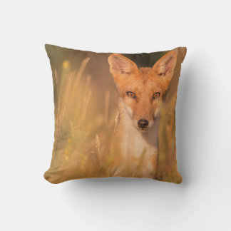 Coussin Photographie de faune sauvage aux yeux du renard r