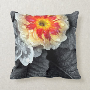 Coussin Photographie de Fiery Primrose