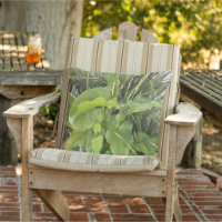 Photographie de jardin arrière-cour de près, natur