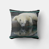 Photographie de la faune Ours polaire