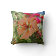 Photographie de la nature des fleurs d'orange