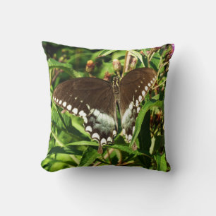 Coussin Photographie de la nature du papillon noir Swallow