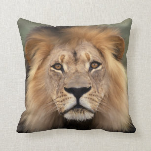 Coussin Photographie de lion