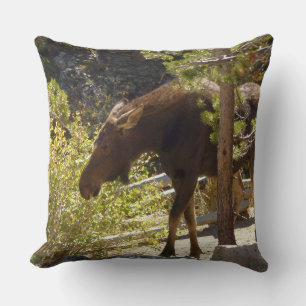 Coussin Photographie de nature de l'orignal des montagnes 